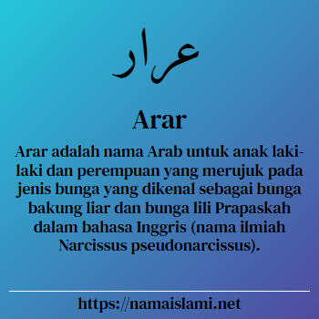 arti nama arar yang merupakan nama islami untuk laki-laki dilengkapi dengan tulisan huruf arab dan maknanya