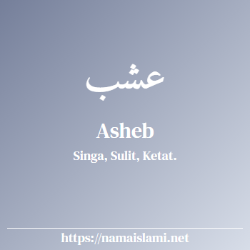 arti nama asheb yang merupakan nama islami untuk laki-laki dilengkapi dengan tulisan huruf arab dan maknanya