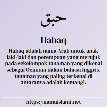 arti nama habaq yang merupakan nama islami untuk laki-laki dilengkapi dengan tulisan huruf arab dan maknanya