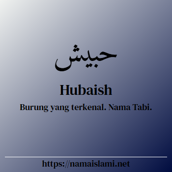 arti nama hubaish yang merupakan nama islami untuk laki-laki dilengkapi dengan tulisan huruf arab dan maknanya