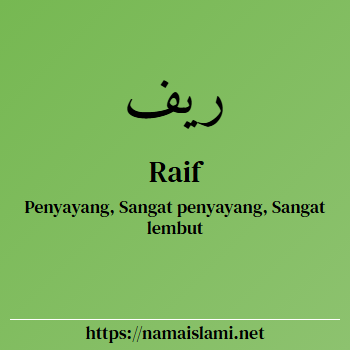 arti nama raif yang merupakan nama islami untuk laki-laki dilengkapi dengan tulisan huruf arab dan maknanya