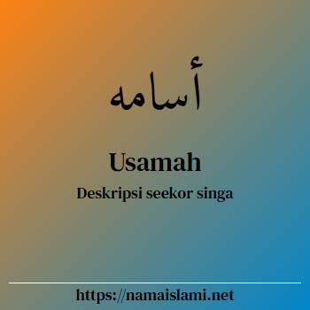 arti nama usamah yang merupakan nama islami untuk laki-laki dilengkapi dengan tulisan huruf arab dan maknanya