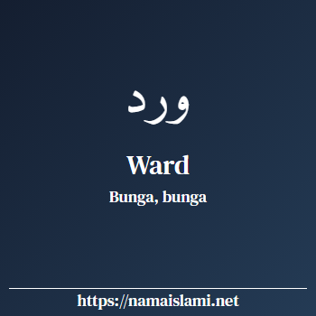 arti nama ward yang merupakan nama islami untuk laki-laki dilengkapi dengan tulisan huruf arab dan maknanya