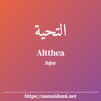 arti nama altthea yang merupakan nama islami untuk perempuan dilengkapi dengan tulisan huruf arab