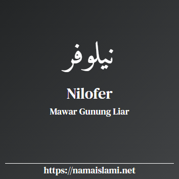 arti nama nilofer yang merupakan nama islami untuk perempuan dilengkapi dengan tulisan huruf arab