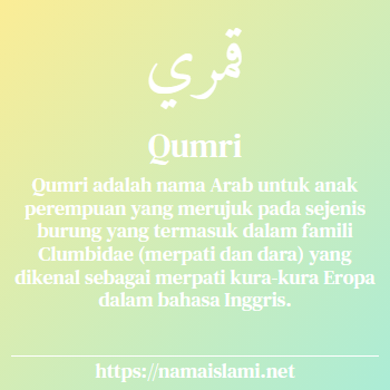 arti nama qumri yang merupakan nama islami untuk perempuan dilengkapi dengan tulisan huruf arab