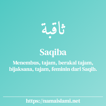 arti nama saqiba yang merupakan nama islami untuk perempuan dilengkapi dengan tulisan huruf arab