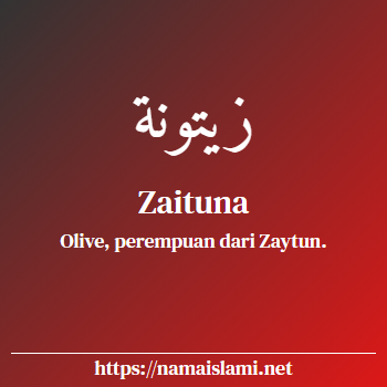 arti nama zaituna yang merupakan nama islami untuk perempuan dilengkapi dengan tulisan huruf arab